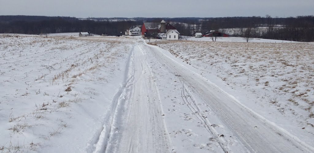 Tracks to the Amish farm., Саванна