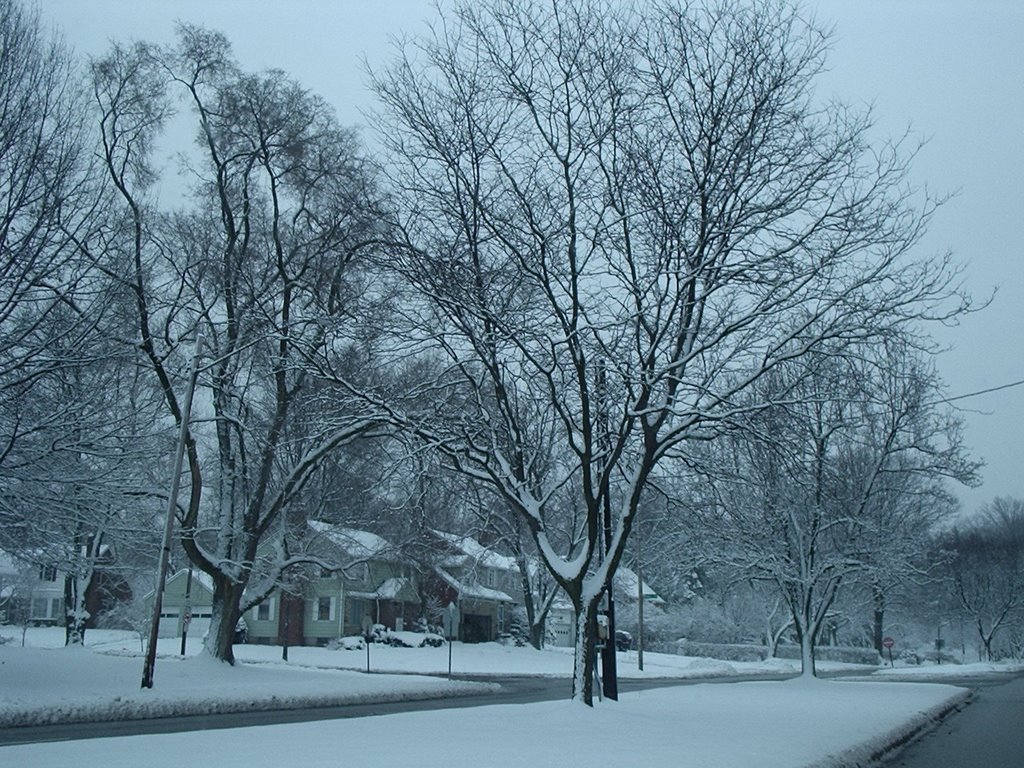 South Euclid in Winter, Саут-Евклид