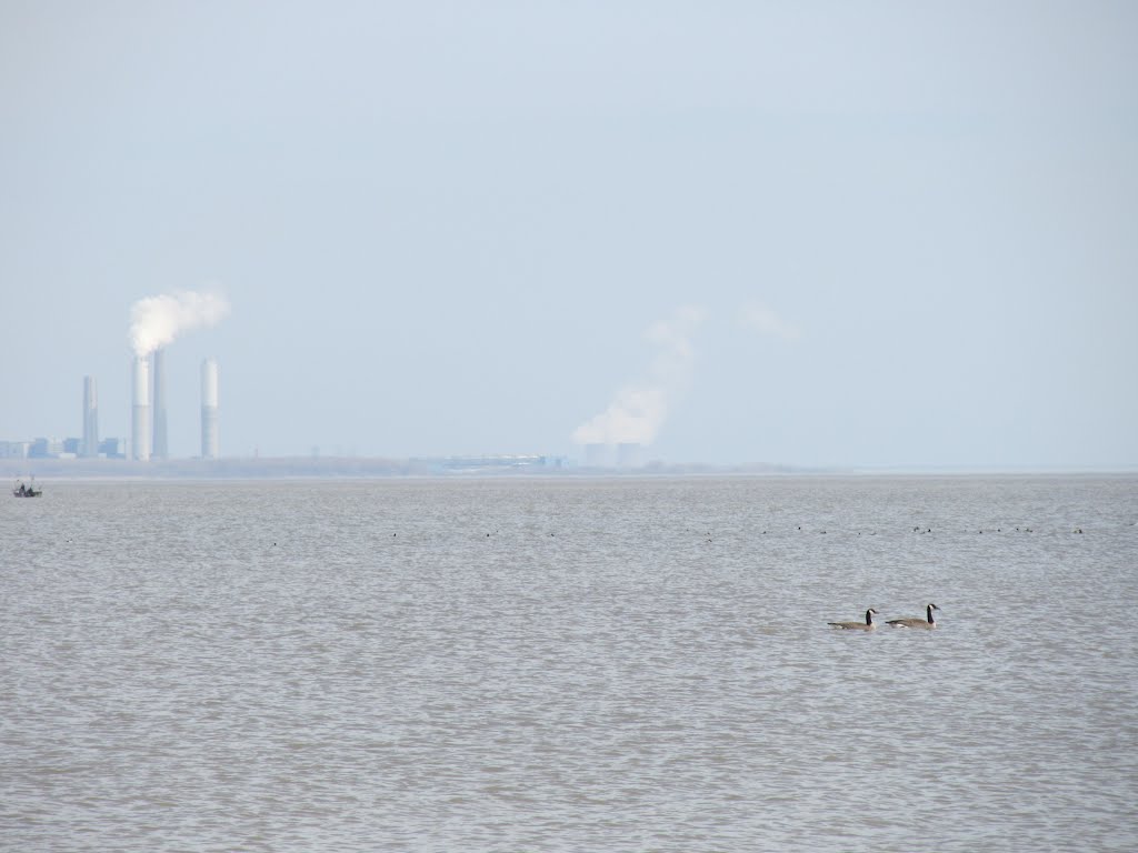 Monroe  fire (left) and Fermini nuclear (right) power plants with geese and ducks, Харбор-Вью
