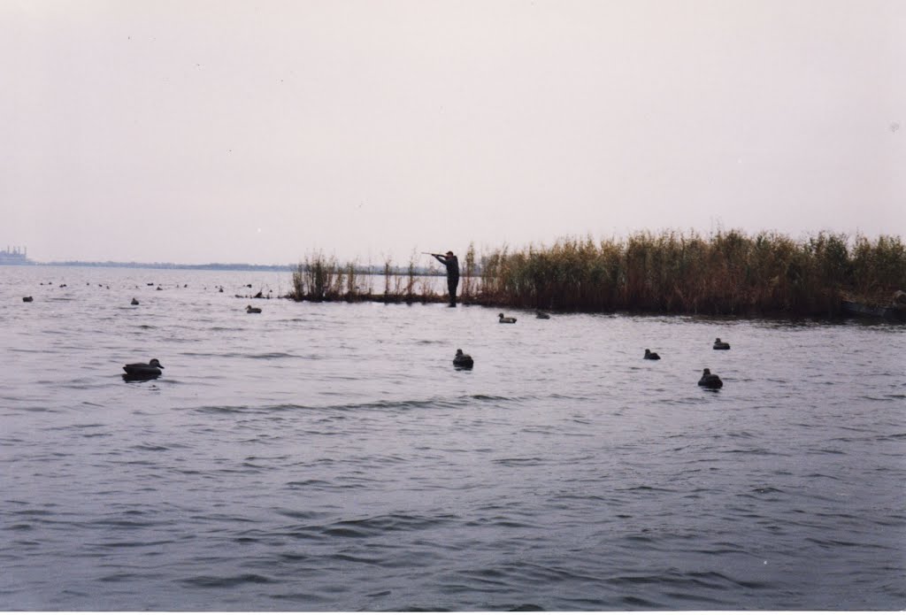 Duck Hunting Indian Island, Харбор-Вью