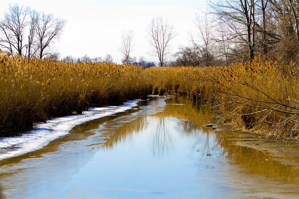 Creek in Winter, Харбор-Вью