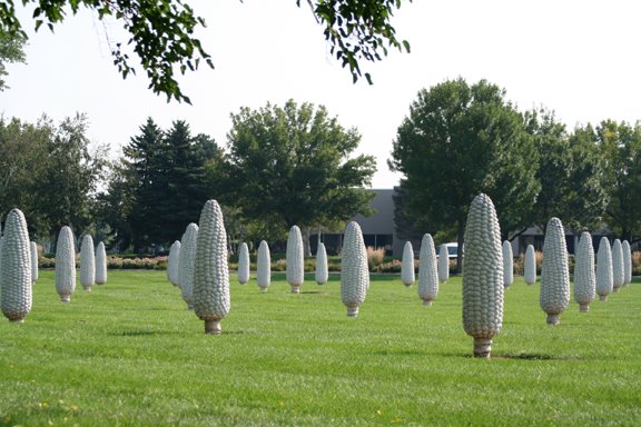 Cement corn field, Харрод