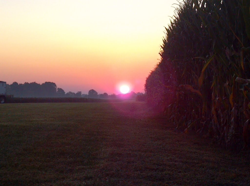 Sunrise @ Home, Хауленд