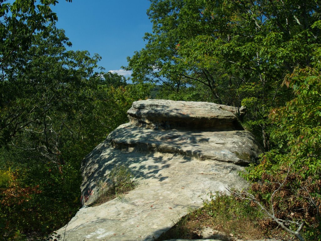 Lookout Rock, Zaleski State Forest, Честерхилл