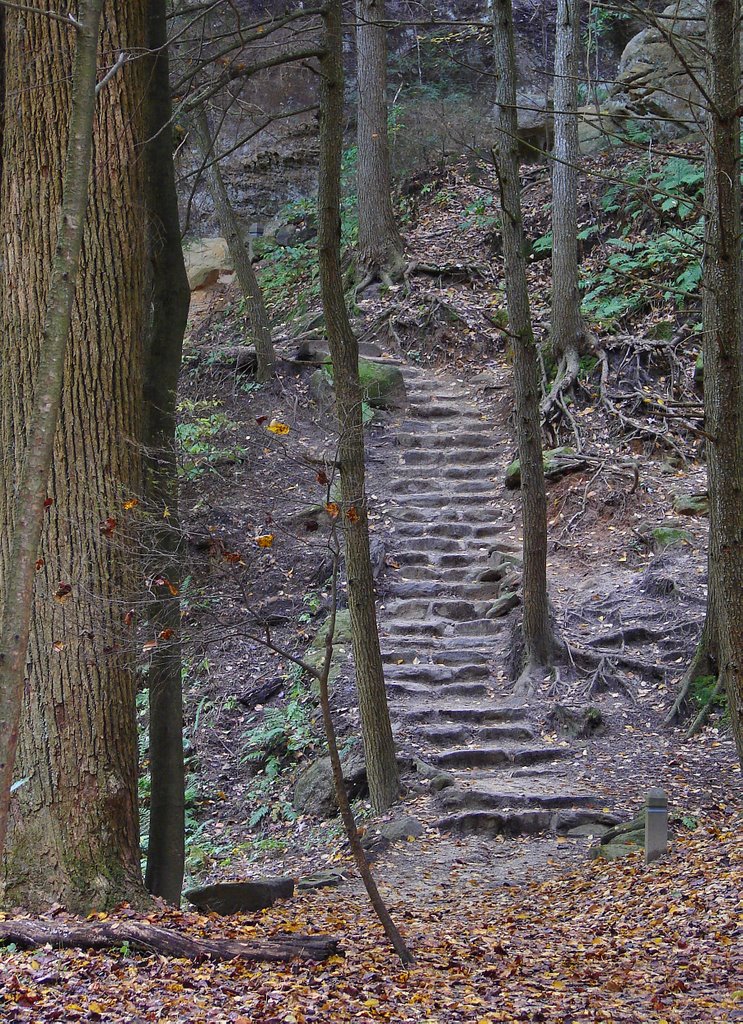 Old Mans Cave SP, Честерхилл