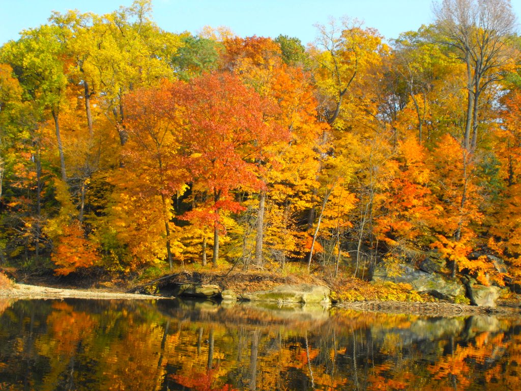 Fall foliage reflections., Элирия