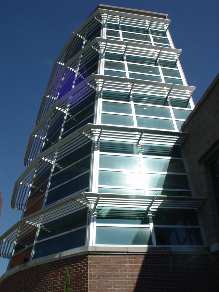 YSU Andrews Student Rec Center - Rock Wall Tower, Юнгстаун