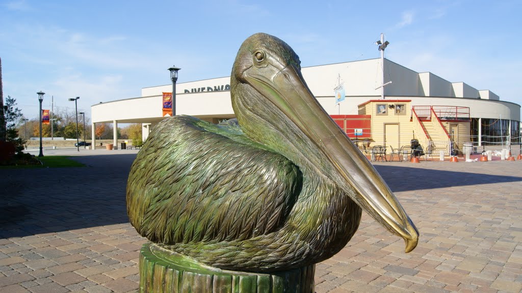 Pelican, Гленпул