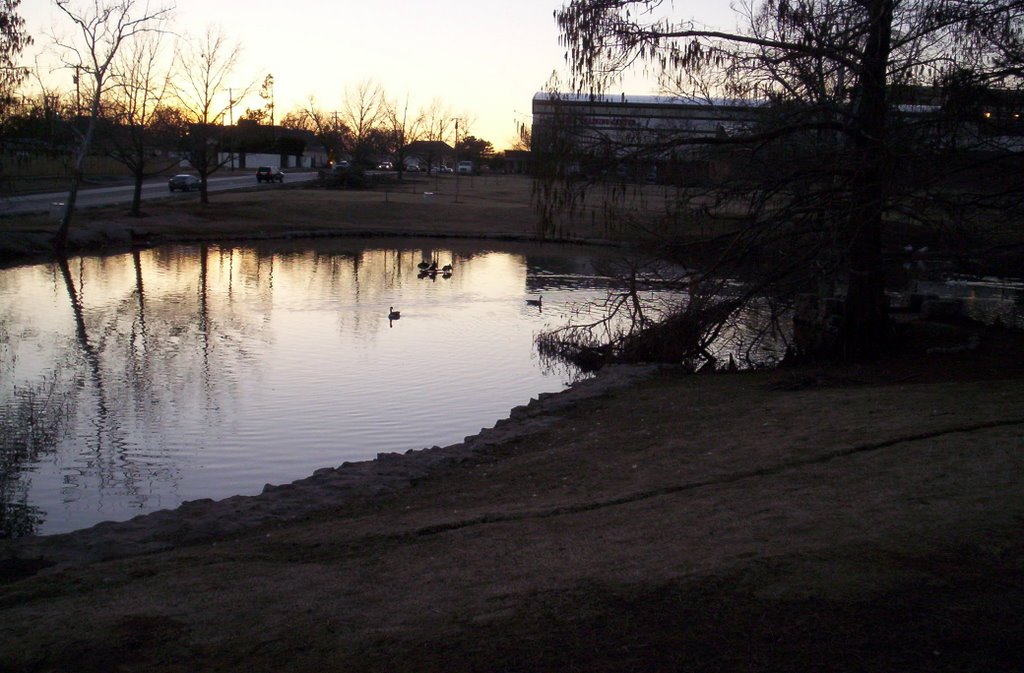 The Duck Pond 1, Норман
