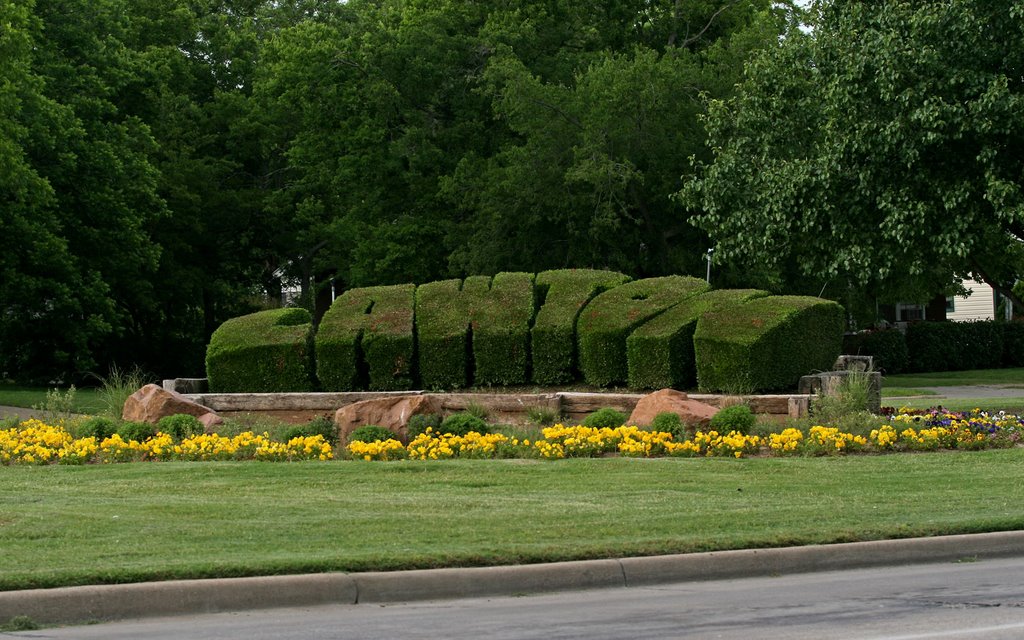 Lawton Bush Sculpture, Форт-Силл