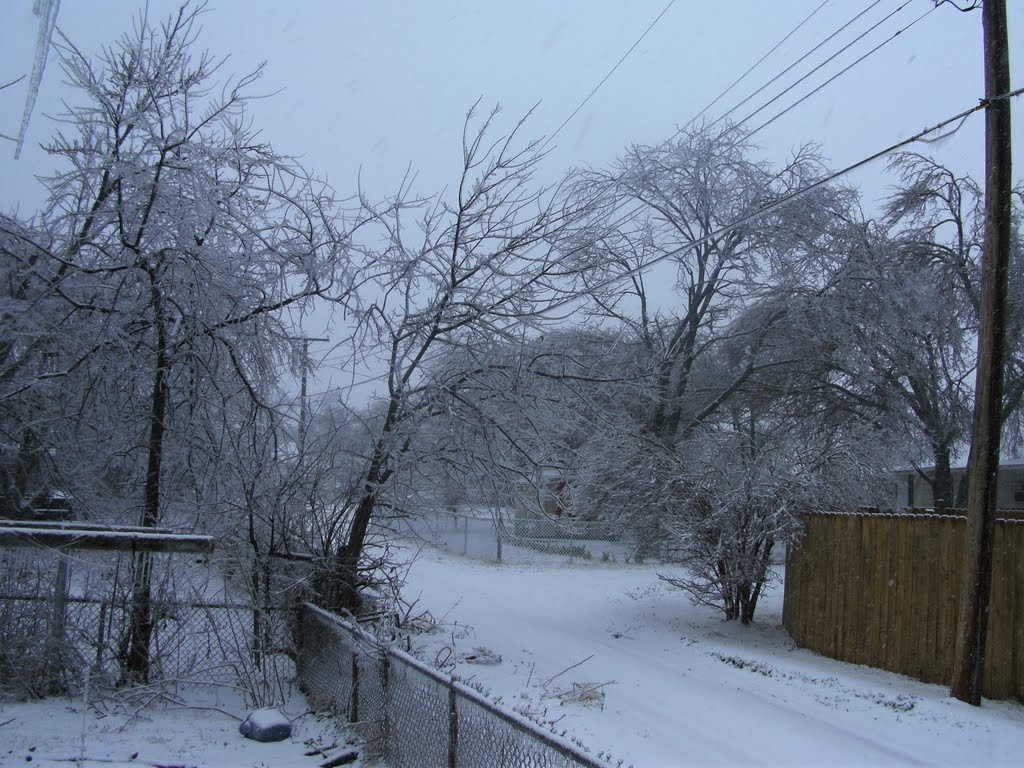 winter 2010, Чикаша