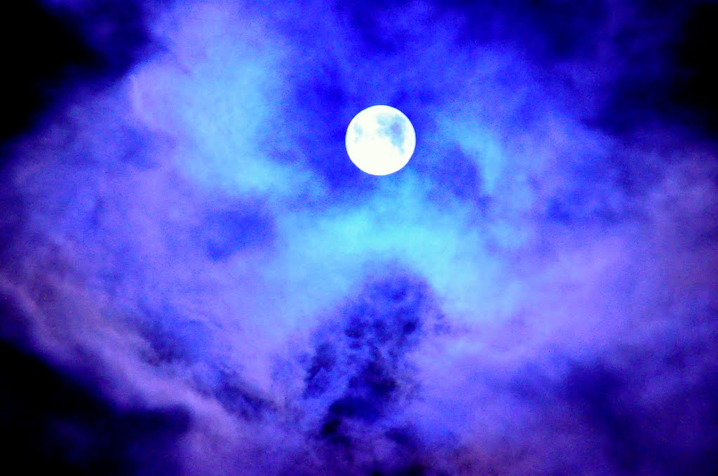 My Mystical Moon, Бивертон