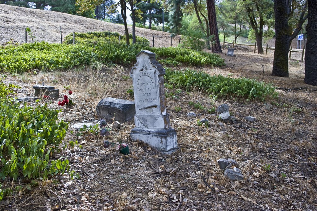 The Pioneer Cemetery, Даллес