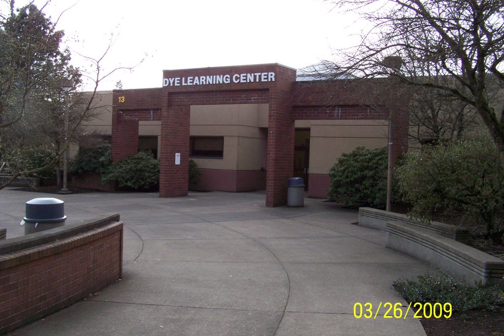 Dye Learning Center, Калли