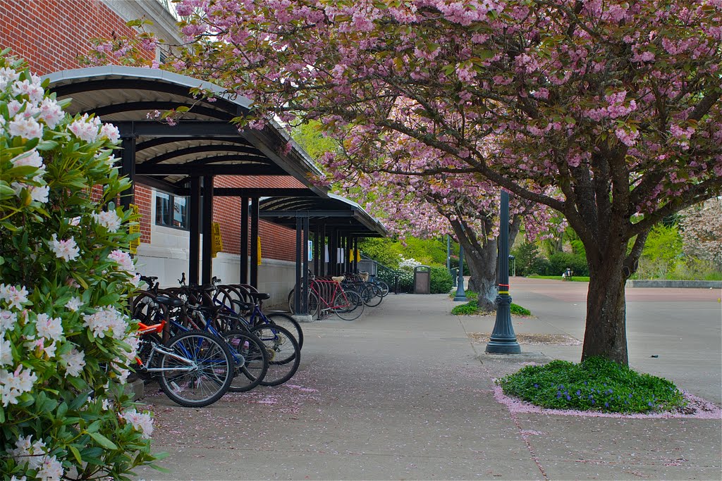 Oregon State University campus, Корваллис