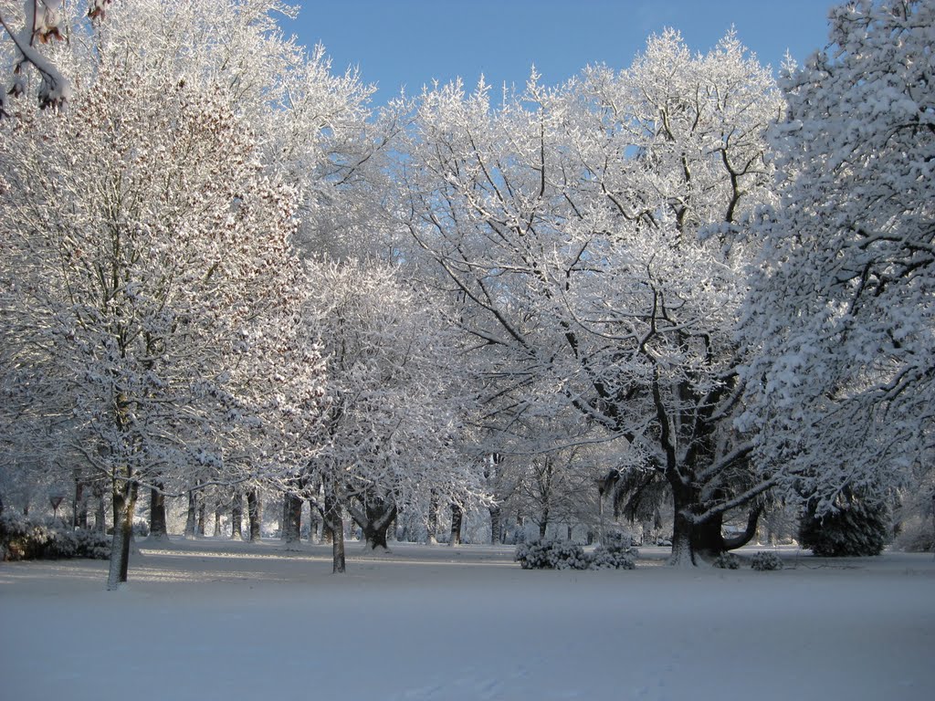 The Oak Grove in White, Мак-Миннвилл