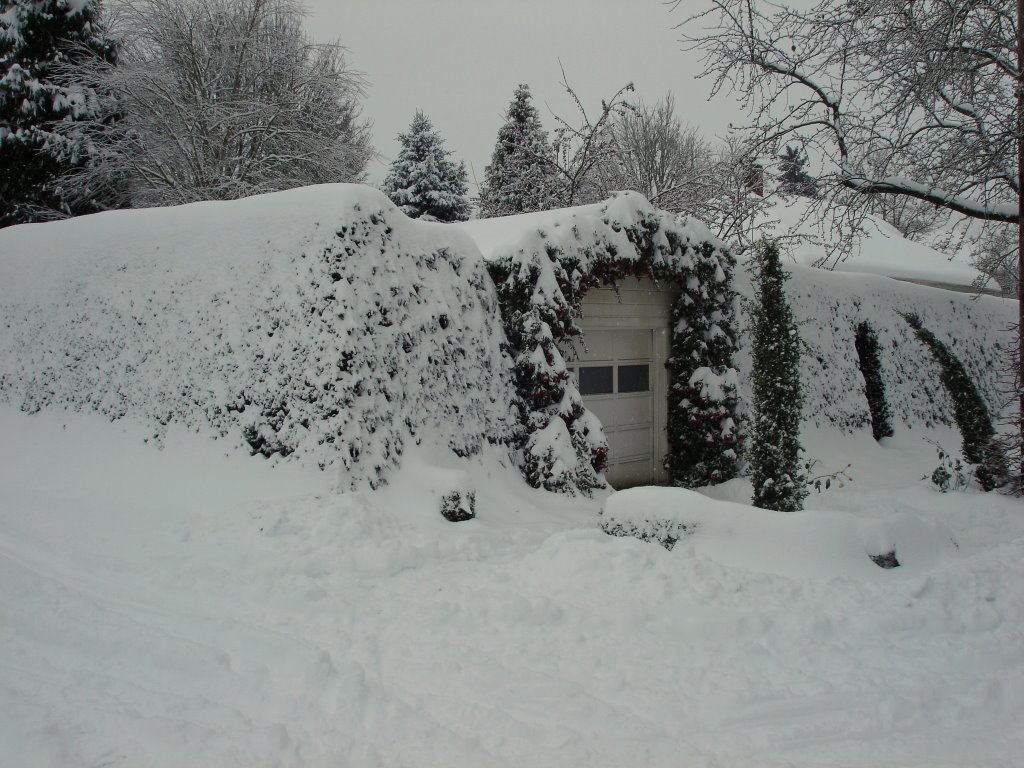 First Addition in the Snowstorm of 2008, Освего
