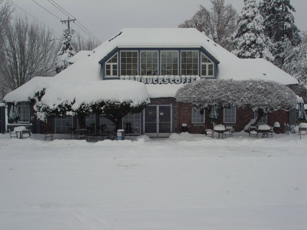 Lake Oswego in the Snowstorm of 2008, Освего