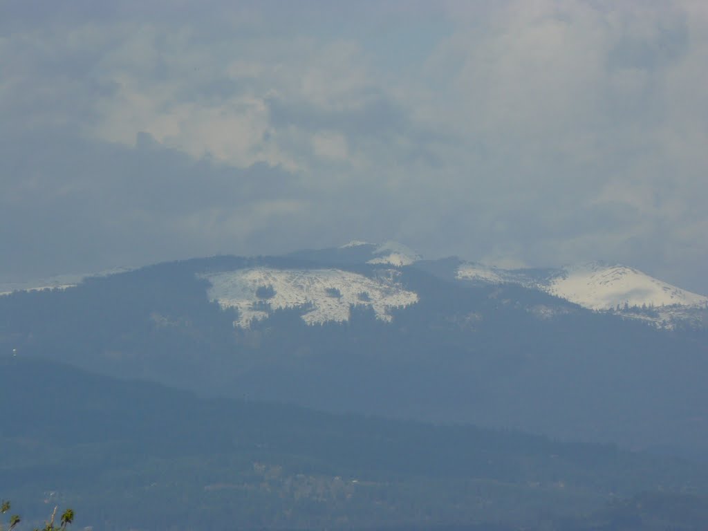 Silver Star and Larch Mountain from Rocky Butte, Паркрос