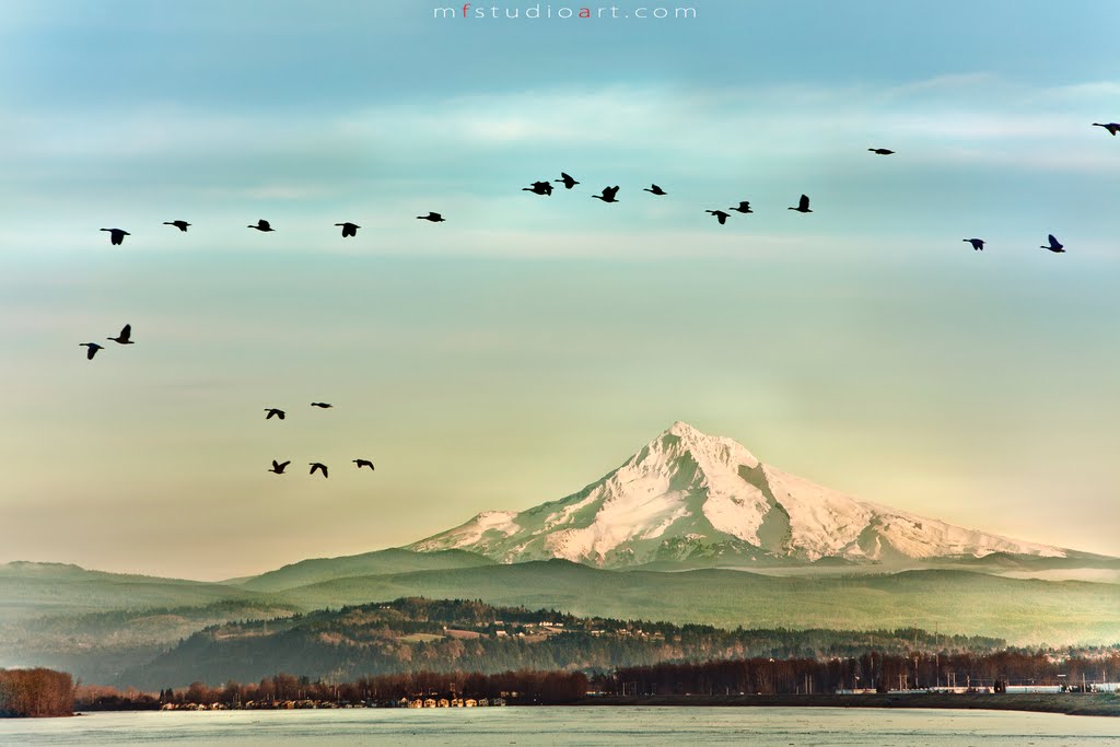 mt. Hood view from Columbia river., Паркрос