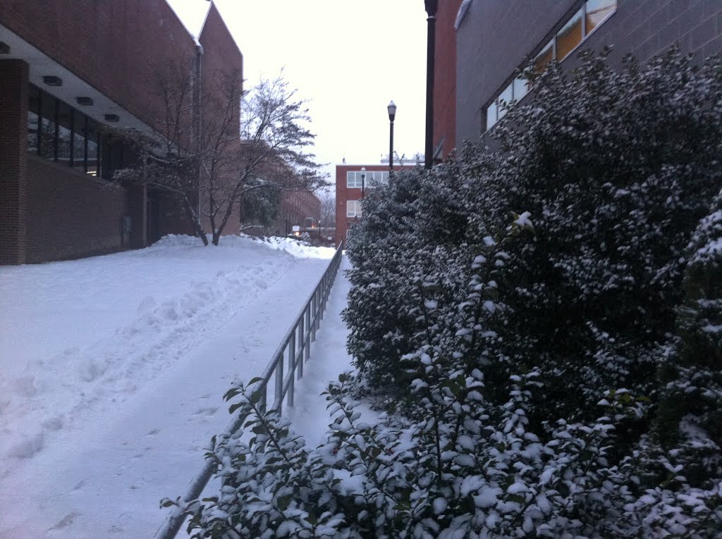 Winter Storm - ESU, Строудсбург