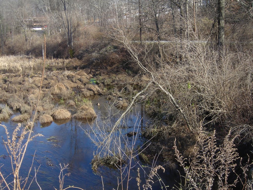 Creek on Javelyn Ln facing northeast, Строудсбург