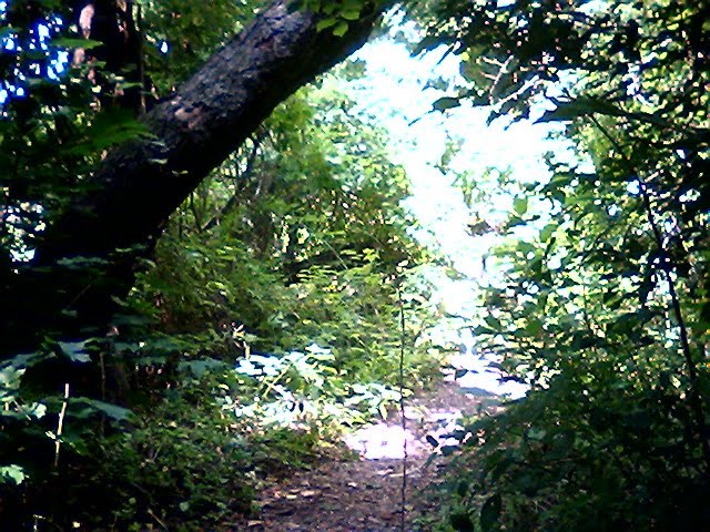 Nature Walk in Abington, Абингтон