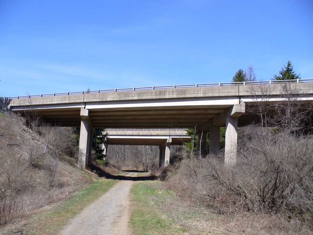 Mt. Nittany Expressway Over Bellefonte Central Rail Trail, Алдан