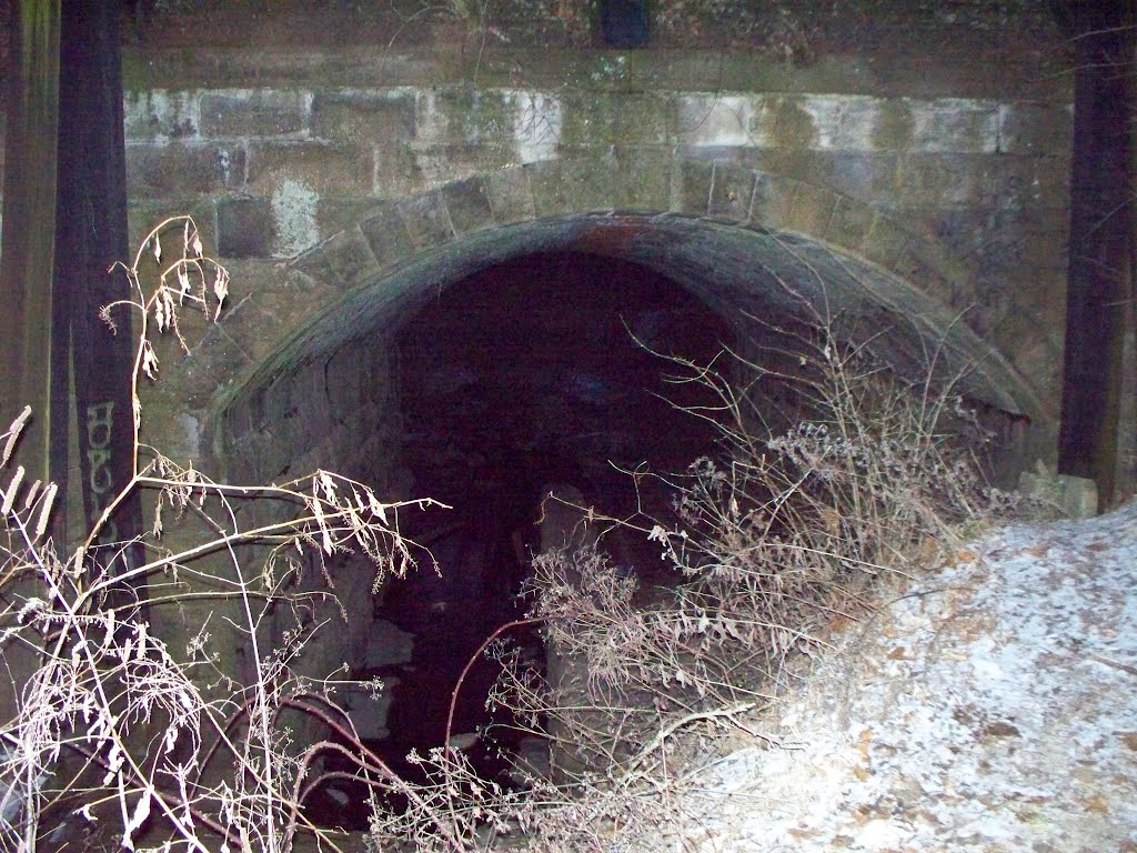 Buttonwood St culvert/ storm tunnel, Аппер-Мерион