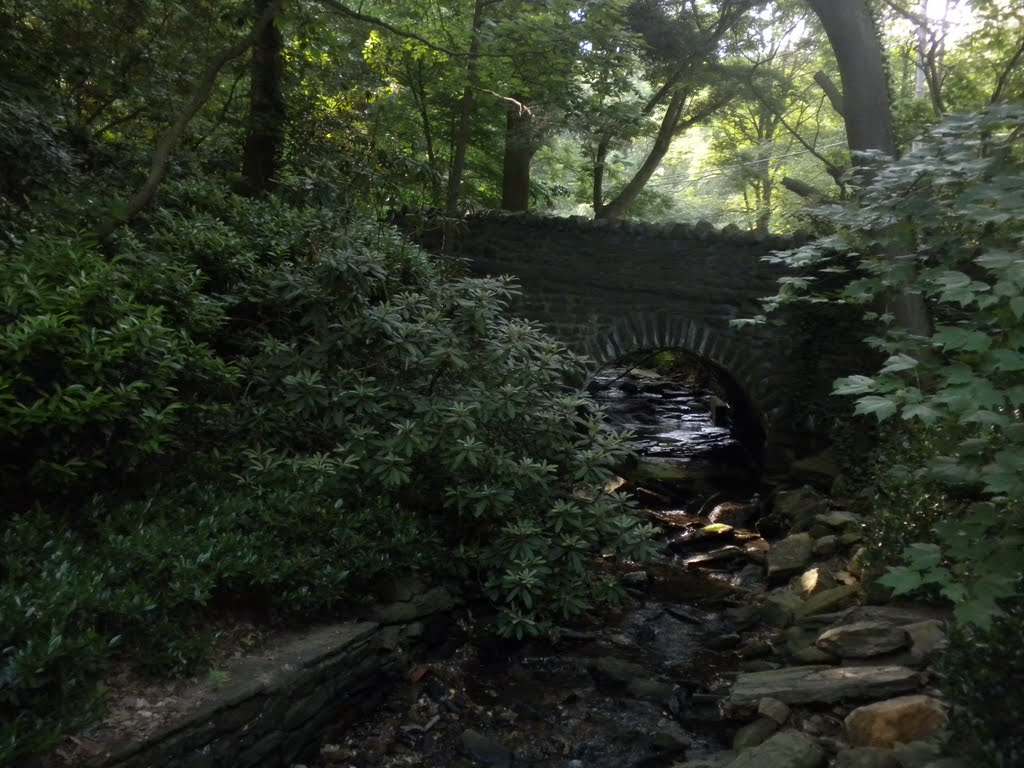 Mill Creek tributary near Cherry Lane, Wynnewood, PA, Ардмор