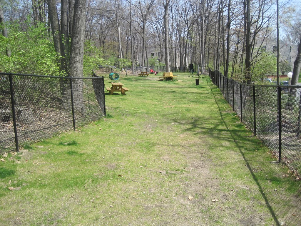 Bark Park Toftrees Avenue   State College, Бала-Кинвид