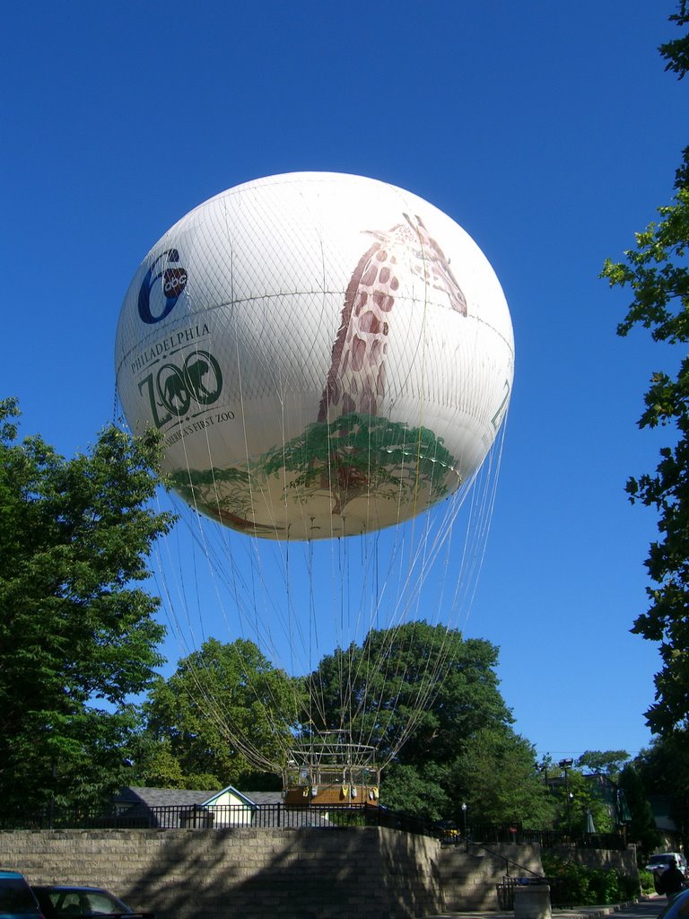 Philadelphia Helium Zoo Baloon, Белмонт