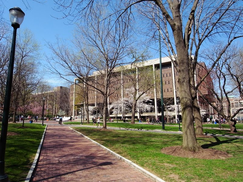Penn campus in the early spring, Белмонт
