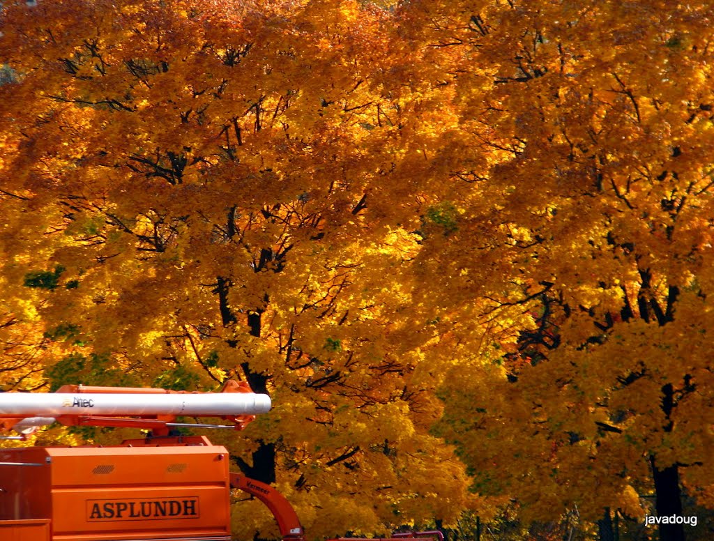Westinghouse R&D autumn Pittsburgh javadoug dphotomeister, Браддок