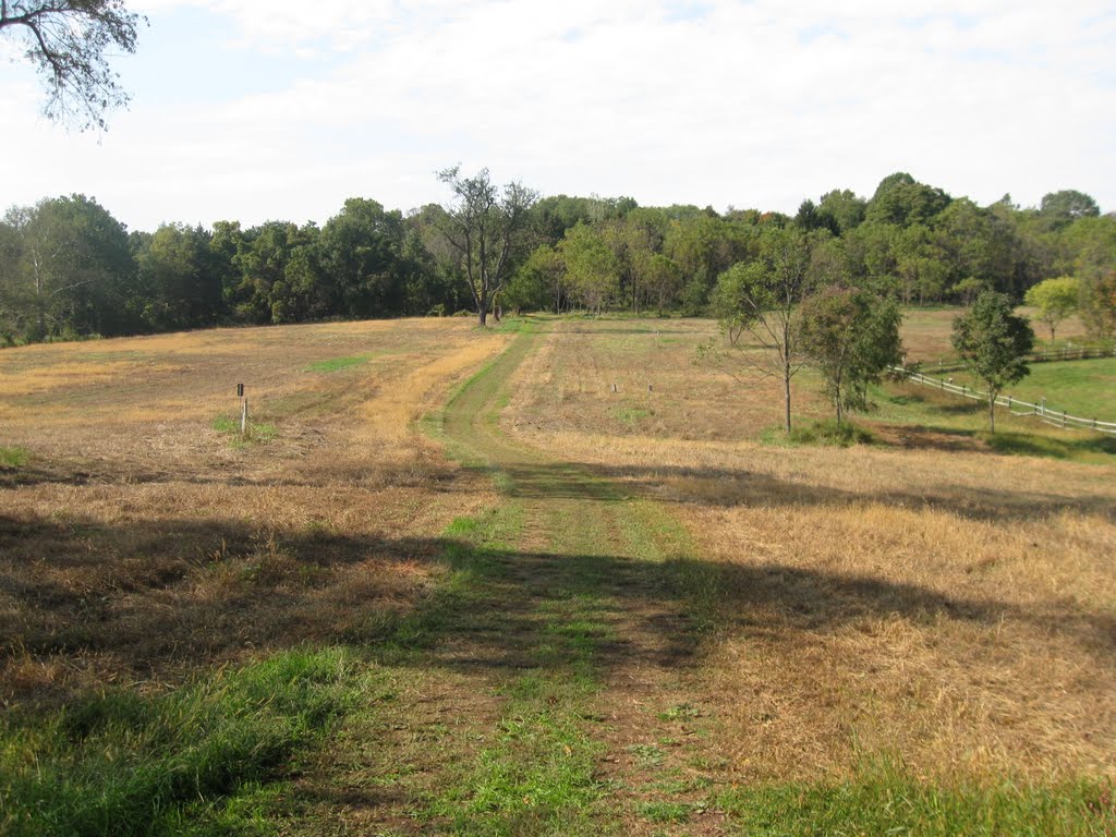 Meadow trail at Pennypack Watershed, Брин-Атин