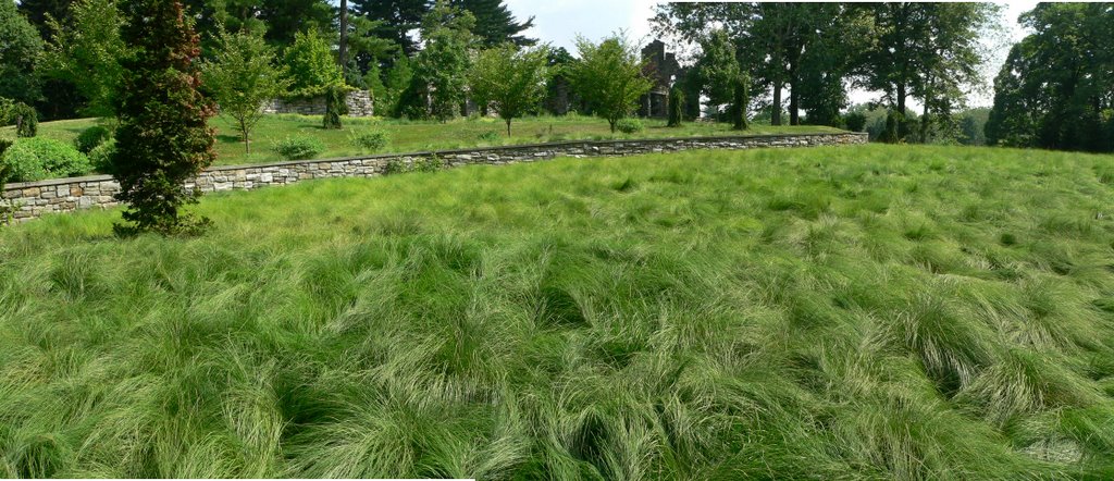 Chanticleer, Ruins Garden Grasses, Брумалл