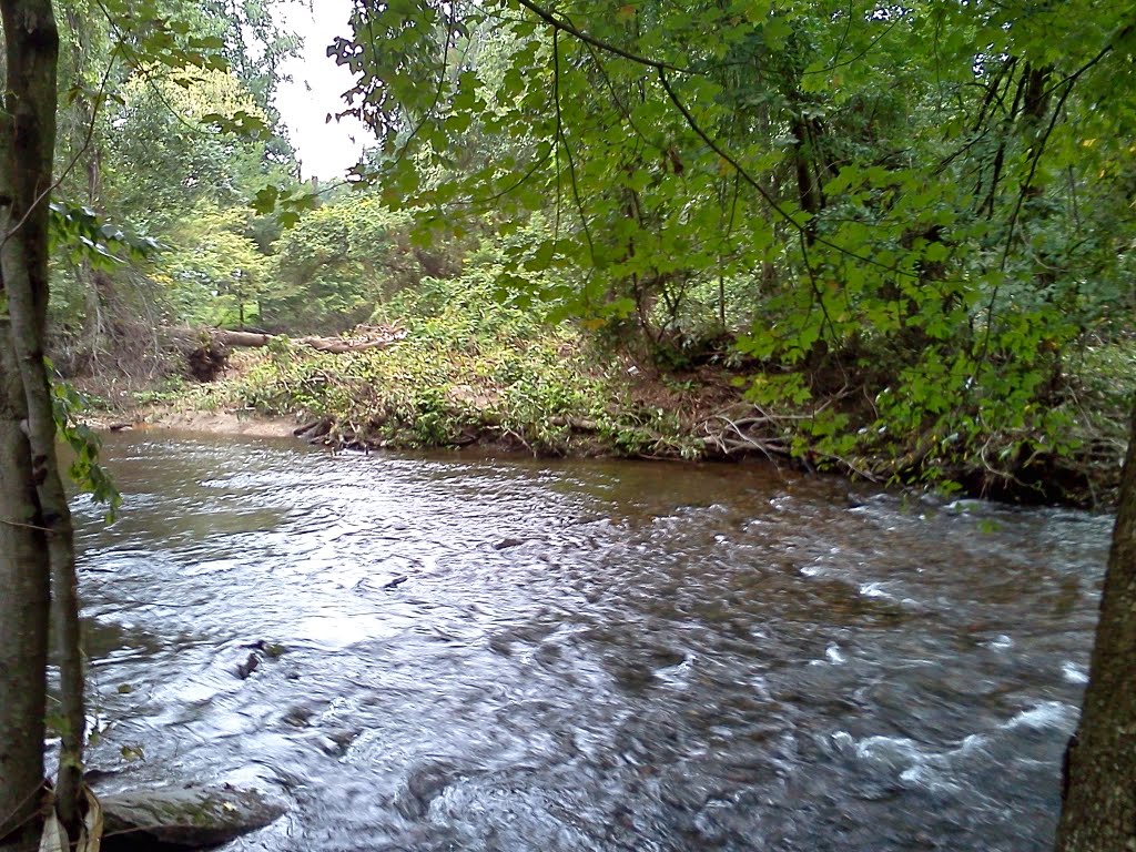 Darby Creek, Брумалл