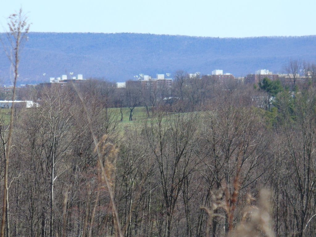 Penn State From Up Top & Afar, Веймарт