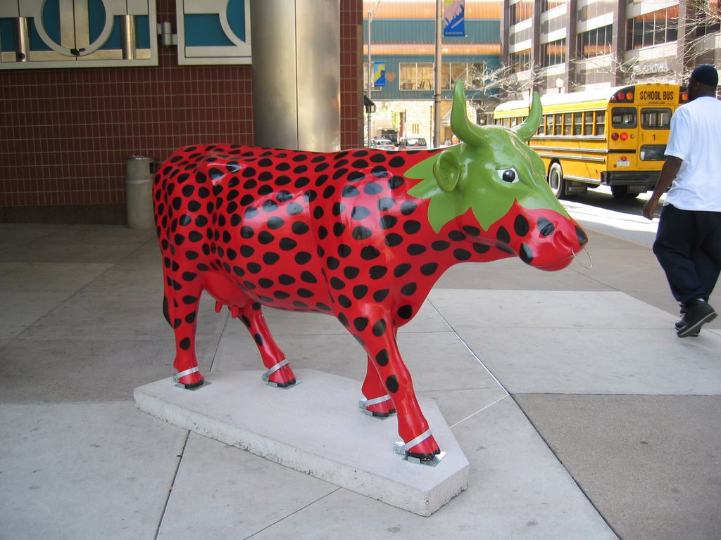 Strawberry Cow (1), Гаррисберг