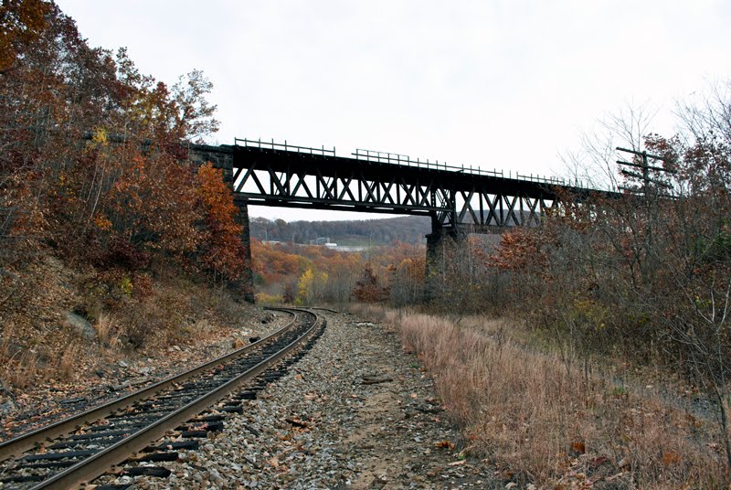 Old Rail Bridge, Данмор