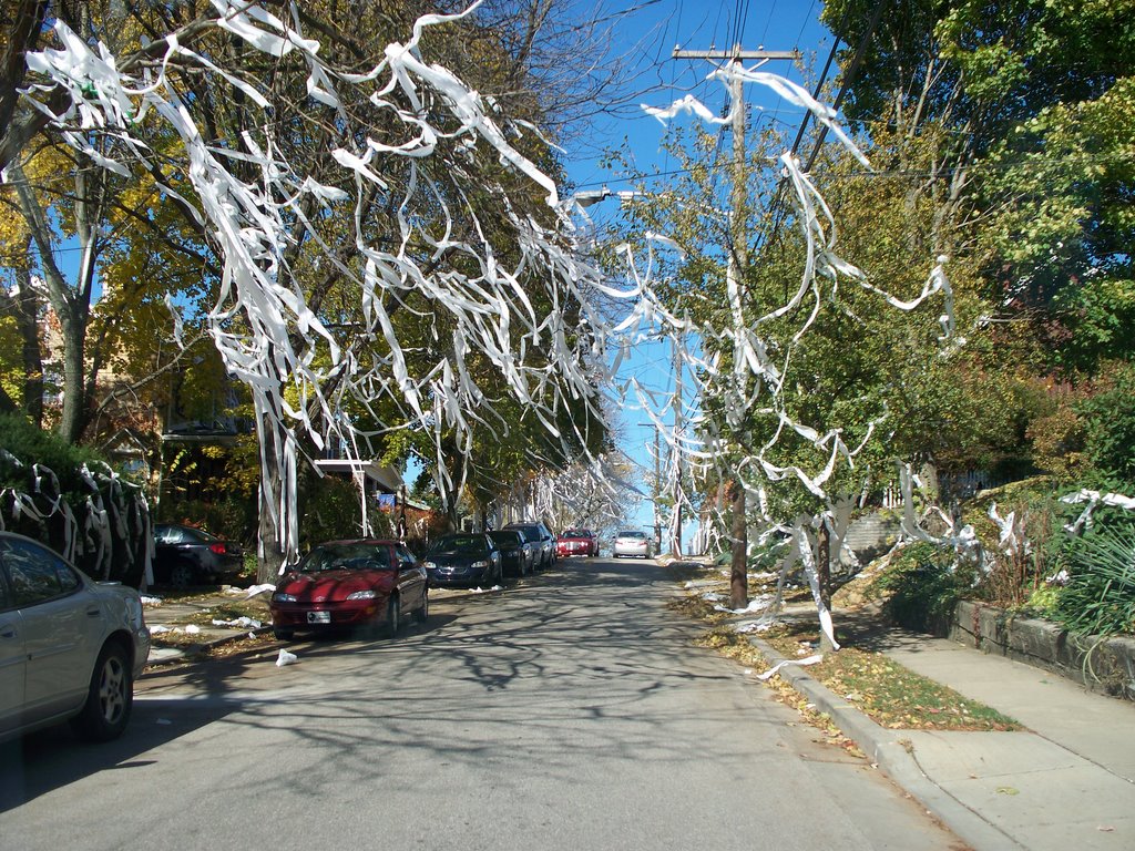Toilet Papers All over street, Дормонт
