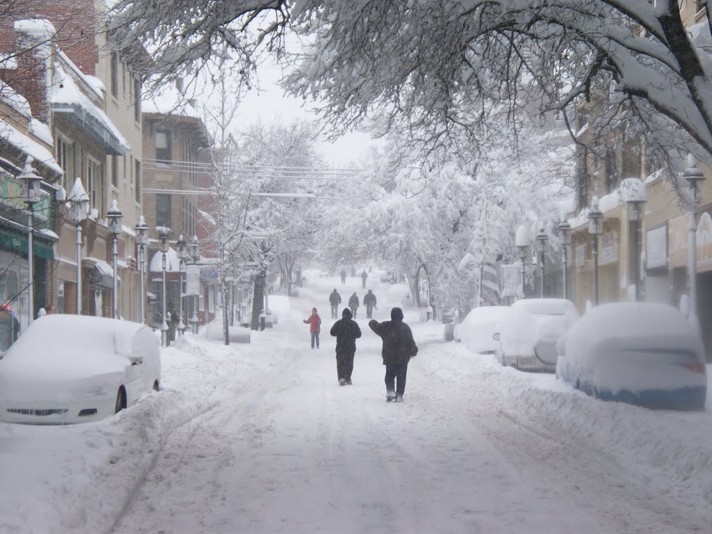 Potomac Avenue in blizzard, Дормонт