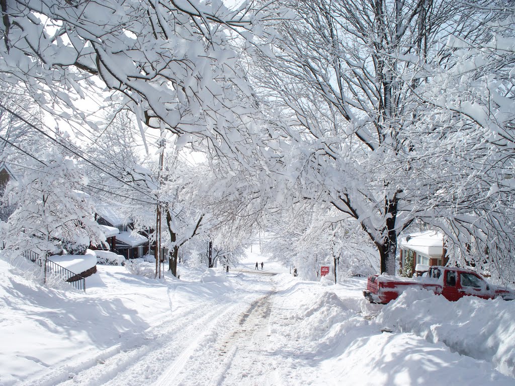 Academy Avenue in blizzard, Дормонт