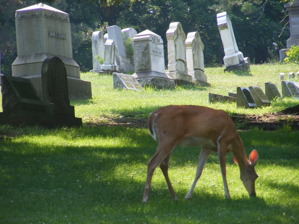 Washington Cemetery, Pennsylvania, Ист-Вашингтон