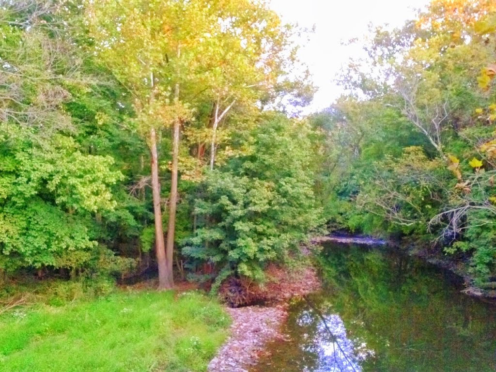 the river en farm park, Ист-Норритон
