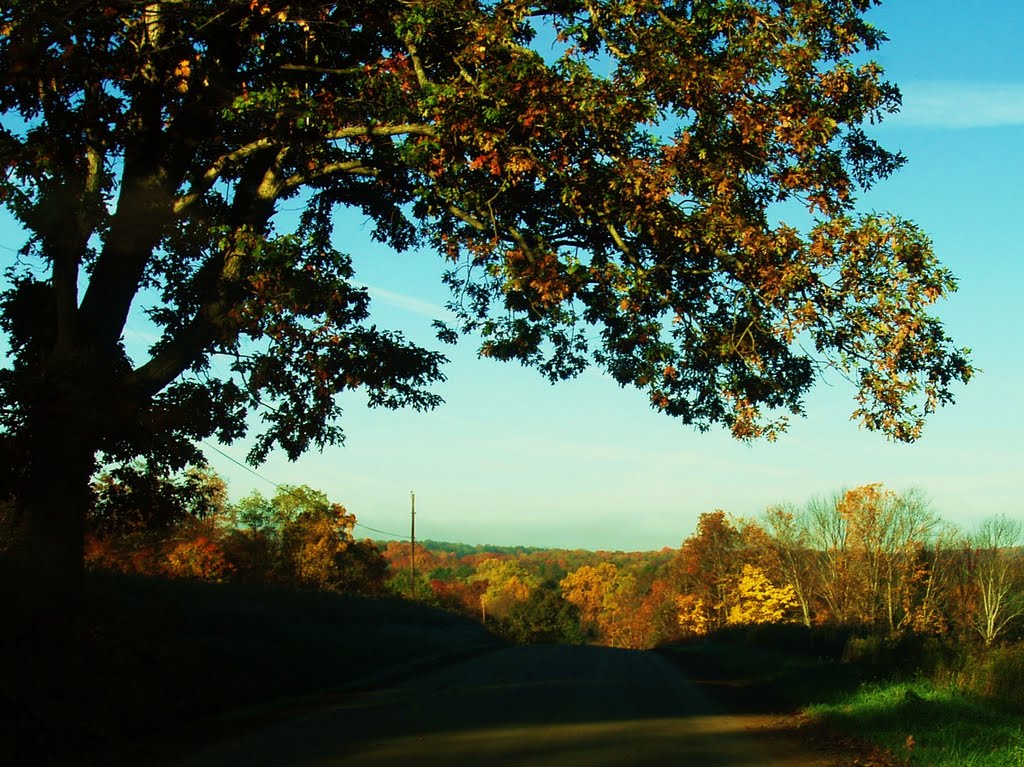 Nice fall morning in Crawford County, PA, Кембридж-Спрингс