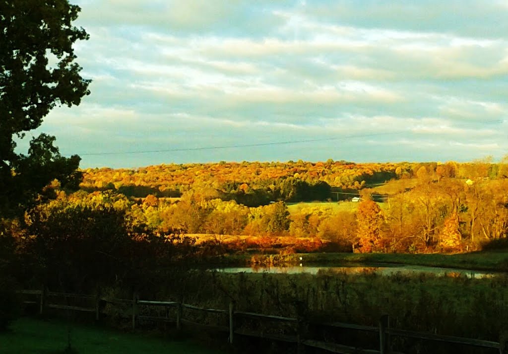 Sunny autumn morning., Кембридж-Спрингс