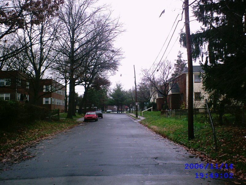 Beechwood Ave, facing Woodlawn ave., Коллингдейл