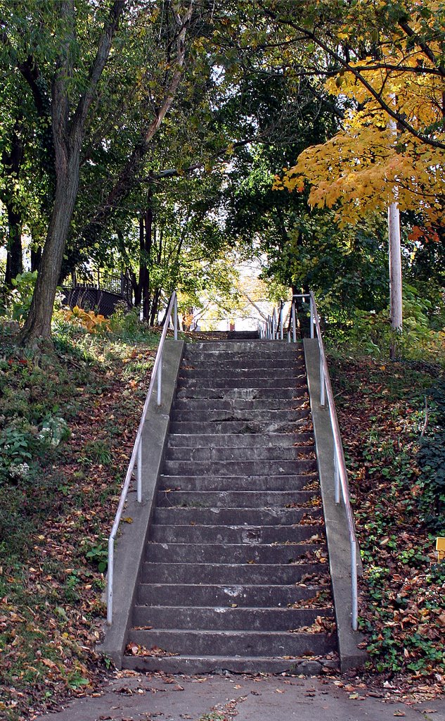 Steps to go to Crafton Park, Крафтон
