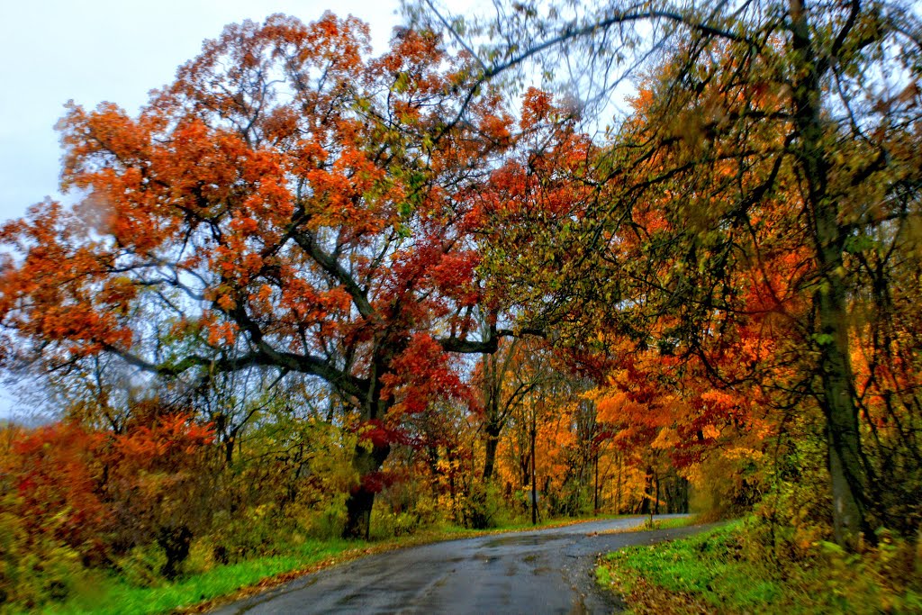 fall colors, Лангелот
